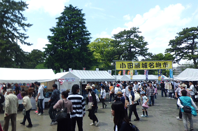 小田原城名物市 5/3(金)・4(土)